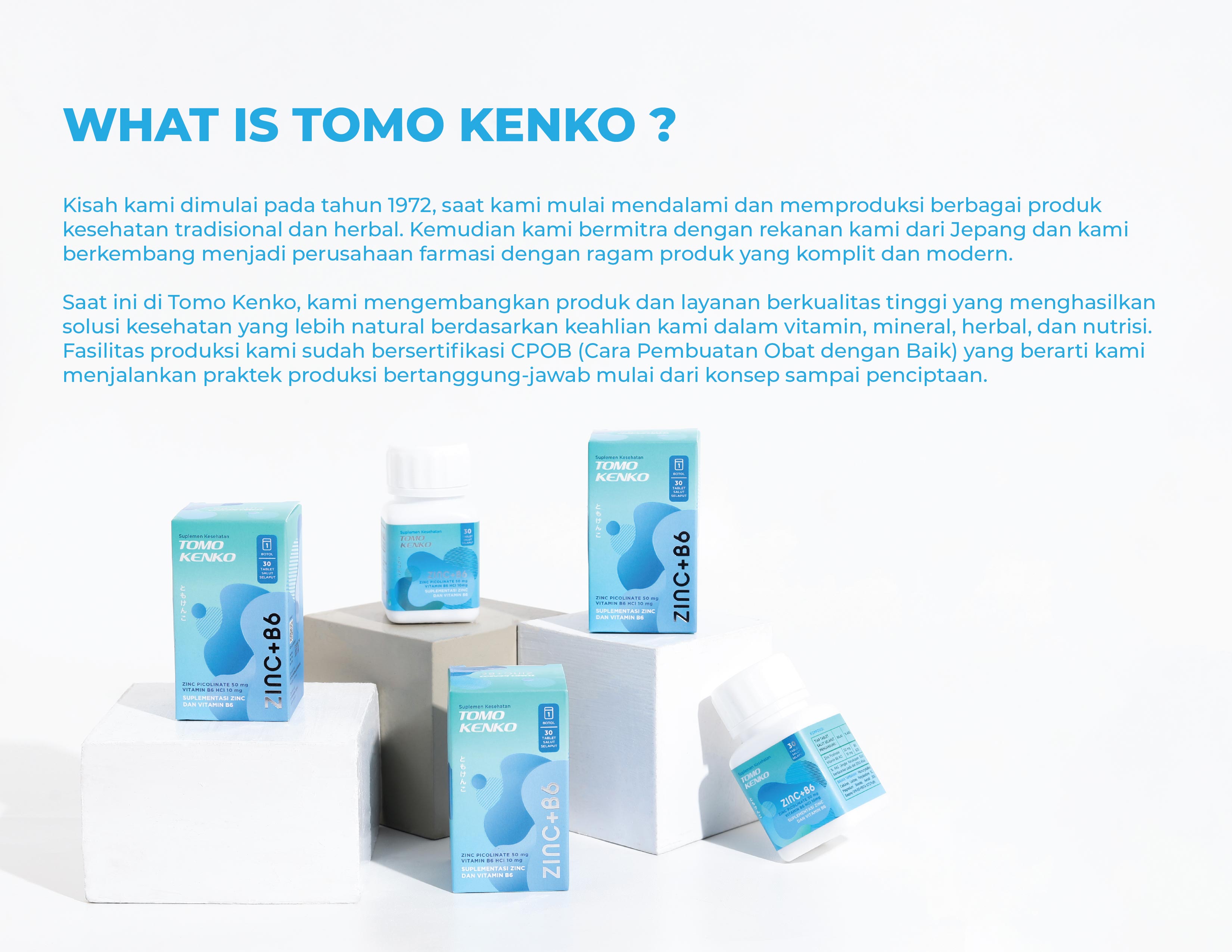 Tomo Kenko Company Profile Page 2
